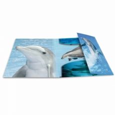 HERMA Fascikla PP sa gumicom - Dolphin, 240 x 320 x 15 mm