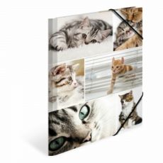 HERMA Fascikla plastificirana sa gumicom - Cats, 240 x 320 x 15 mm
