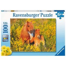 Ravensburger puzzle - Shetland Pony - 100 delova
