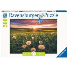 Ravensburger puzzle - Maslačak -500 delova