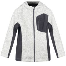 REEBOK duks sa kapuljačom za dečake, sivi