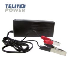 FOCUS POWER Punjač akumulatora A100-12 od 14.8V 4.8A sa klemama