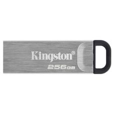 KINGSTON USB flash memorija 256GB USB 3.2 DTKN/256GB sivi