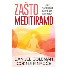 Zašto meditiramo - Danijel Goleman, Coknji Rinpoče
