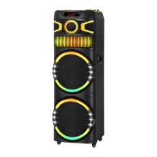 Bežični Bluetooth zvučnik NDR-M22003 100W 2*12 inca sa dva mikrofona crni
