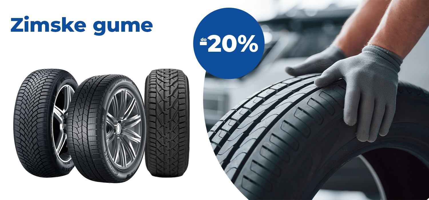 Gume za putnicka vozila, letnje gume, ss gume, zimske gume